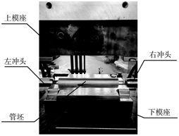 双拐曲轴内高压胀形试验模具